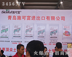 ���uʩ�ɸ�����Ƽ����޹�˾����2015�ό��r�Y��-2015��13���Ϸ��r�Y���[��