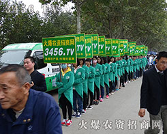 2015��ɽ�|ֲ�������F�Y(ji��)ƴ�������˶��Ǵ��A��