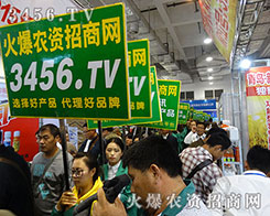 �𱬾W(w��ng)��ϯ2015��ɽ�|ֲ����(hu��) �G��(zh��n)ʿ�������ː�(��i)