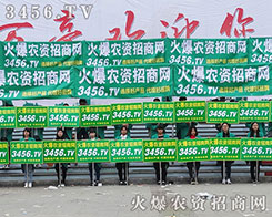 ����꠸�������(zh��n)������ƴ����