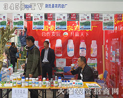 ξ�Ͽh�r(n��ng)ˎ���S��(chu��ng)����һƬ�����