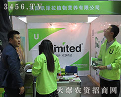 Ӣ���P����ֲ��I�B(y��ng)��ͬŬ������ͬ�^��