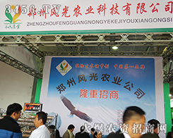 ������21��ɽ�|ֲ���������L(f��ng)���r(n��ng)�I(y��)������