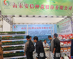 ɽ�|���ŷN������Ŀ�����c