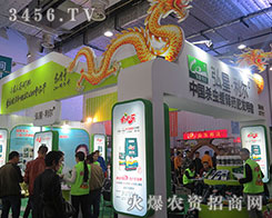 ���Ϻ�����������ʼ�K�Գ�һ������