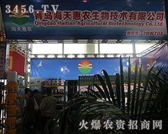 ɽ�|���u������r(n��ng)���＼�g(sh��)���޹�˾����2015��ɽ�|ֲ����(hu��)-2015��21��ɽ�|ֲ����Ϣ�������r(n��ng)ˎе���ו�(hu��)