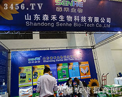 ɽ�|ɭ�������������(zh��n)�Լ������c