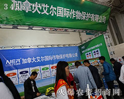 ���ô󰬠����21��ɽ�|ֲ���������