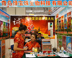 ɽ�|�|���G��������2015ɽ�|ֲ�����A�ÝM�úȲ�