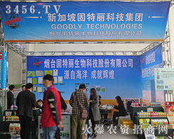 ���_��������������չʾ��Ʒ�ơ�����ò