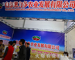 ɽ�|�������r(n��ng)�I(y��)2015ɽ�|ֲ�����Ͽ���������