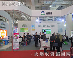 �ƹ���2015ɽ�|ֲ��������Ч������