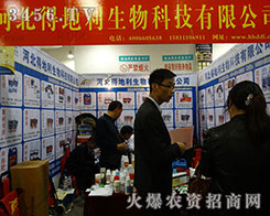 �ӱ��õ�������Ƽ�2015��ɽ�|ֲ�����϶��Ƕ���