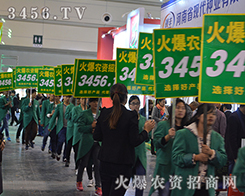 �𱬾W(w��ng)��2015���������r(n��ng)ˎ���������������