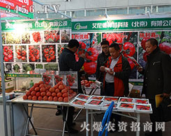 ����·N��Ƽ�2015�����I�N�������P(gu��n)ע�ȱ��q��