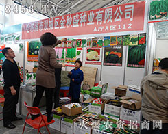 �����I����ʢ�N�I(y��)2015�����I�N�ӽ��ו�(hu��)���l(f��)��·��