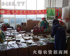 �ӱ���h�������������2015�����I�N�ӕ�(hu��)