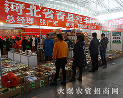 �ӱ�ʡ��h���S�߲���s2015�����I�N����(hu��)