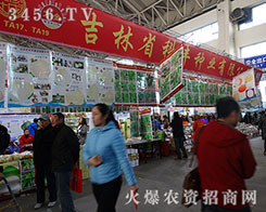 2015�����I�N�ӕ�����ʡ���S�N�I(y��)�����u