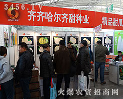 �R�R�������R��N�I(y��)2015�����I�N�ӕ��T������