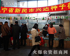 �������d�_(d��)�N���о�������2015�����I�N����