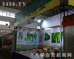 ���ϷN�I(y��)���|(zh��)���������������u��l(f��)չ