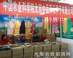 ������Ʒ�_Ԫ�N��չʾ��Ʒ��������ò