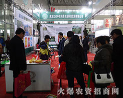 ����ϵ����˲��ǰl(f��)չ�����������r(n��ng)����ڴ��c�����M����