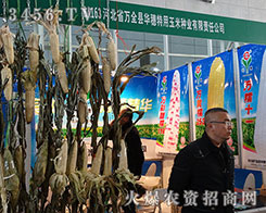 �ӱ�ʡ�fȫ�h�A���������׷N�I(y��)�����������ŗ���