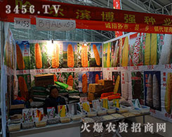 �����I����(qi��ng)�����������ŗ���