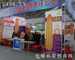 ����ʡ���S�N�I(y��)����2015�����I�N�I(y��)���[��