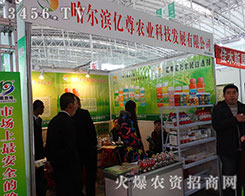 �����I�|��2015�����I�N�ӕ��ϝM�Ѽ���