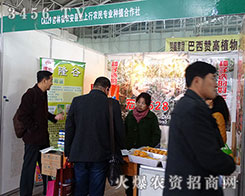 2015�����I�N�ӕ�(hu��)���r(n��ng)���h�������r(n��ng)��Nֲ�����窚(d��)���L(f��ng)����