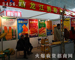 2015�����I�N�ӕ�(hu��)�� �i���^��ǰ��