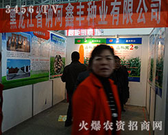 2015�����I�N�ӽ��ו�(hu��)�����S�N�I(y��)�c����s��Ҋ(ji��n)��ɢ