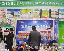 ʯ���f�°��r(n��ng)�I(y��)�Ƽ���Ʒ�|(zh��)�A����