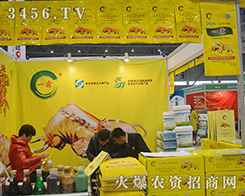 2015ֲ������һ�ؿƼ������|(zh��)����(w��n)������һ����