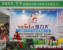 �V����ķ�r(n��ng)�I(y��)���������ĺͼ�(x��)��ȡ���Ñ��ĺ��u(p��ng)