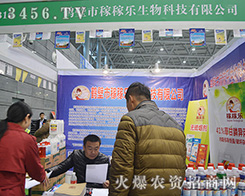 ��31��ֲ����(hu��)�Q���мڼژ�(l��)�����L(f��ng)�ɱM�@