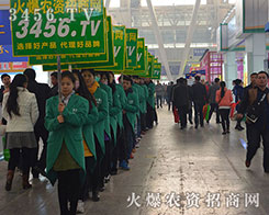 ���r(n��ng)�Y���̾W(w��ng)�ľ�Ӣ�����¿�����������