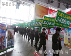 ��S�����̣��Gɫ��(zh��n)ʿ�x�����o��؟(z��)����