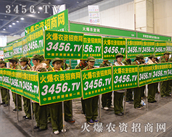 2015���ݷ��ϕ�(hu��)�����r(n��ng)�Y�W(w��ng)��չ���L(f��ng)��