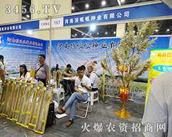 ��������ɽ���2015���ݷN�ӽ�����(hu��)�ل�(chu��ng)�x��