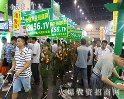 �����Fꠈ��g�ı�Ӱ��׌�����������P(gu��n)ע