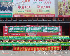 2015�ļ��N�ӕ����𱬑�(zh��n)ʿ��s����