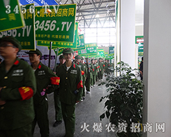 3456.TV���{����2015�����r����