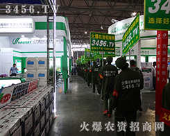 2015�������N�ӽ��ו��㌑������