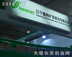 �|����ꖵV�|�������޹�˾����2015�����r����-2015��12�������r�Y���[��