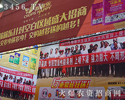 �Ͼ��ڼژ�(l��)����ʢ�b��ϯ2015�������r(n��ng)����(hu��)