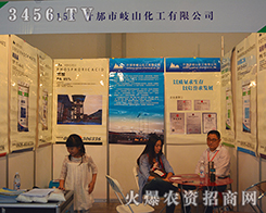 ʲ�����ɽ�������޹�˾����2015�����r(n��ng)����-2015��12�������r(n��ng)�Y���[��